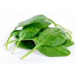 Picture of BABY SPINACH LEAVES