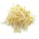 Picture of BEAN SPROUTS