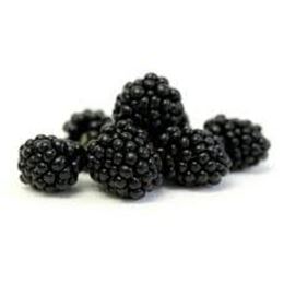 Picture of BERRIES BLACK