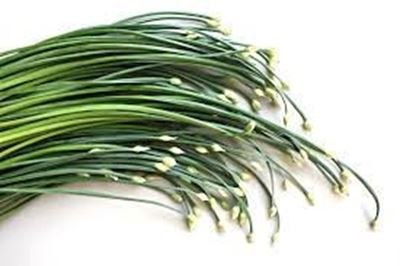 Picture of HERBS CHIVES GARLIC