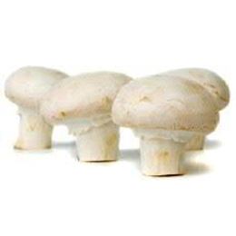 Picture of MUSHROOM BUTTON 300G BAG