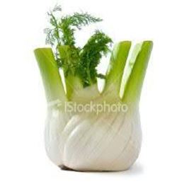 Picture of FENNEL LARGE (ANISEED)