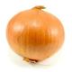 Picture of ONION BROWN