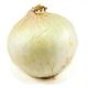 Picture of ONION WHITE