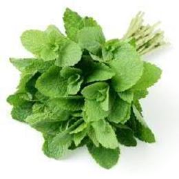 Picture of HERBS MINT SPEAR