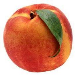 Picture of PEACH YELLOW LARGE
