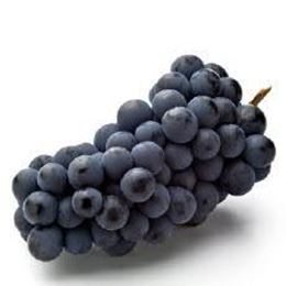 Picture of GRAPES BLACK 500G BAG