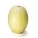 Picture of MELON HONEY DEW WHOLE