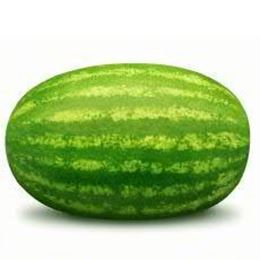 Picture of MELON SEEDLESS