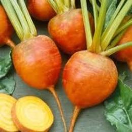 Picture of BEETROOT GOLDEN