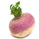 Picture of TURNIPS