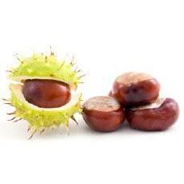 Picture of CHESTNUTS 250G BAG