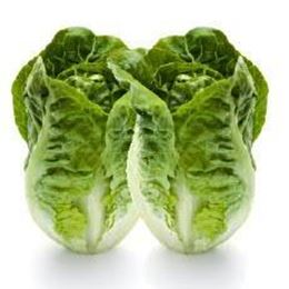 Picture of BABY COS HEARTS LETTUCE (2 PACK) 