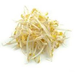 Picture of FRESH BEAN SPROUTS BAG