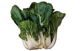 Picture of BOK CHOY
