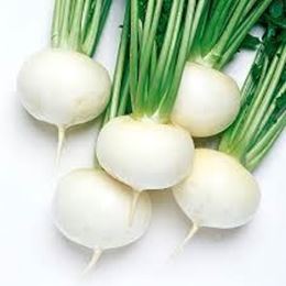 Picture of TURNIPS BABY WHITE BUNCH