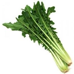 Picture of CHICORY BUNCH
