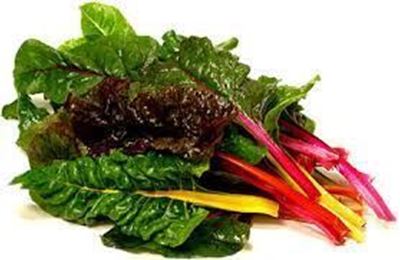 Picture of RAINBOW CHARD