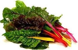 Picture of RAINBOW CHARD