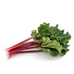 Picture of RHUBARB RED BUNCH